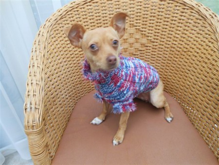 006 Te koop 17,50 euro.  