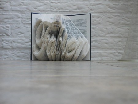 B 014 Boek ingevouwen met de naam Fabien (820 blz.)